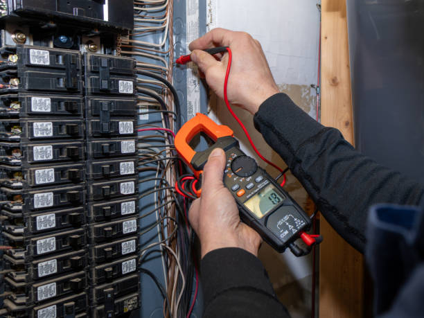 Best Electric Panel Repair  in Johnson City, NY